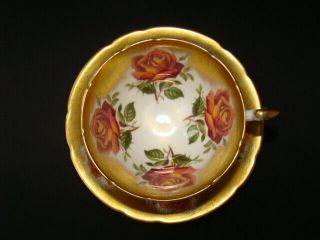 Paragon Orange Cabbage Roses Heavy Gold Teacup and Saucer 2