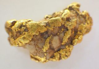 Gold Nugget Alaskan 7.  245 Grams Natural Placer Hope Creek High Purity