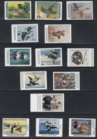 Usa Duck Stamps State Of South Carolina 1981 To 2004 Vfnh Some Rare Stamps