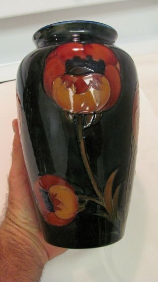 Vintage Moorcroft Big Poppy 8 Inch Vase Circa 1920 