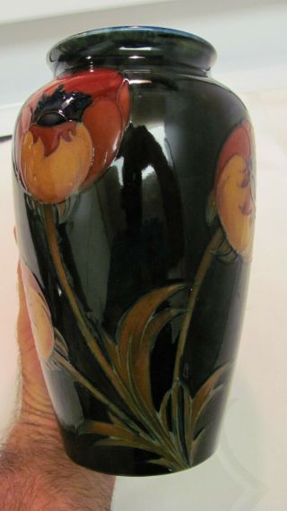 Vintage Moorcroft Big Poppy 8 inch vase circa 1920 ' s signed 3