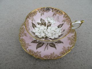 Wow Vintage Paragon Cabinet Pink Tea Cup Saucer Gardenia Double Warrant