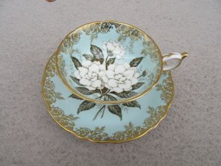 Wow Vintage Paragon Cabinet Blue Tea Cup Saucer Gardenia Double Warrant