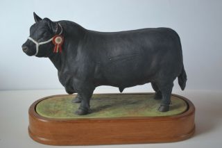 Royal Worcester Porcelain Aberdeen Angus Bull Figurine By Doris Lindner 1961