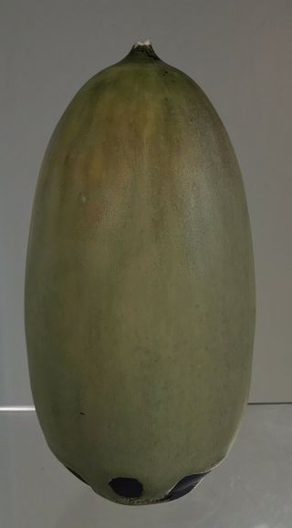 Signed Numbered Rose Cabat Pottery Vase Weed Pot Rough Rim 5 3/4 " Olive Color