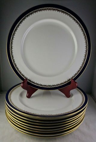 Nine Aynsley Bone China Embassy Cobalt Blue & Gold Dinner Plates (smooth)