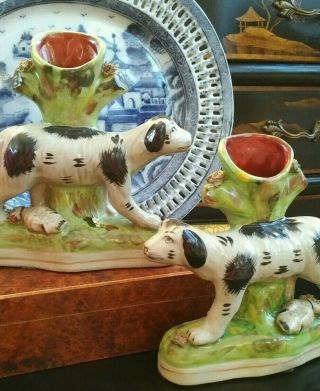 Stunning Pair Staffordshire Style Spaniel Dog Fox Hunt Game Hound Spill Vases