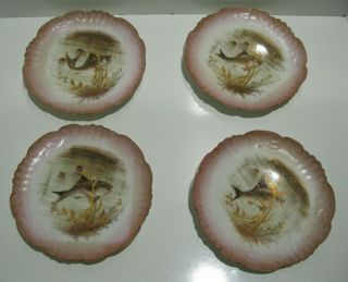 Set Of 12 Ak Limoges Porcelain A.  Klingenberg Handpainted Fish Plates