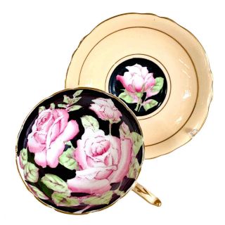 Paragon Peach Black With Pink Cabbage Rose Tea Cup & Saucer,  Double Stamp A675