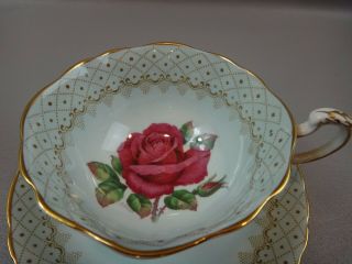 SIGNED Paragon Double Warrant Fine Bone China Cup & Saucer CABBAGE ROSE 2