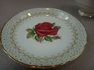 SIGNED Paragon Double Warrant Fine Bone China Cup & Saucer CABBAGE ROSE 4
