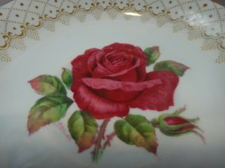 SIGNED Paragon Double Warrant Fine Bone China Cup & Saucer CABBAGE ROSE 5