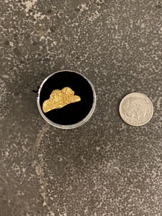 4.  91 Grams Gold Nugget From Alaska? 5/3
