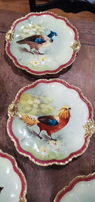 12 Limoges Coronet France plates signed Norys gaming bird duck pheasant 9.  5 