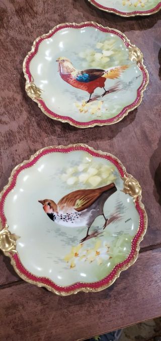 12 Limoges Coronet France plates signed Norys gaming bird duck pheasant 9.  5 