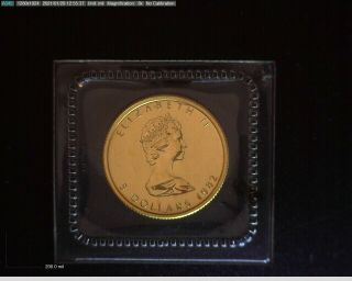 1982 Canada 1/10 Oz Gold Maple Leaf 5 Dollar Coin