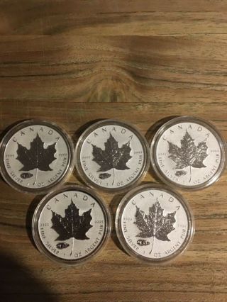 5 - 2016 Canadian Maple Leaf Coin Reverse Proof Tank Privy Silver Mintage 50,  000