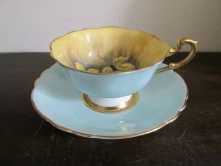 Paragon England Tea Cup And Saucer Orchard Fruit Yellow Light Blue Signed 6