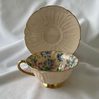 Gorgeous Shelley Footed Oleander Summer Glory Chintz Tea Cup & Saucer 2