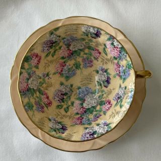 Gorgeous Shelley Footed Oleander Summer Glory Chintz Tea Cup & Saucer 3