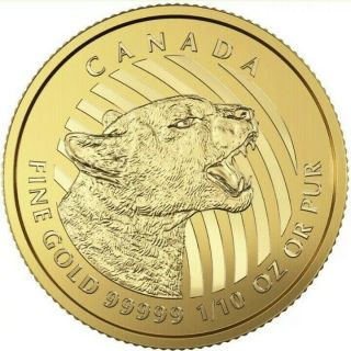 2016 Bu 1/10 Oz Canadian.  99999 Growling Cougar $20 Gold Coin In Assay
