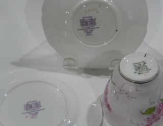 PARAGON PINK LILACS BOUQUET CUP & SAUCER & PLATE Pink Colorway Hand Decorated 6
