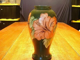 Large 27 Cm Moorcroft Art Pottery Hibiscus Vase Circa 1945 - 49