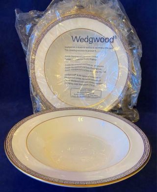 Set Of 4 Wedgwood China Palatia Rim Soup Bowl 8 " Dish Euc