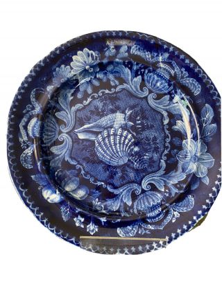 Stubbs Kent Staffordshire Seashells Pattern Dk Blue Transferware Plate C1830