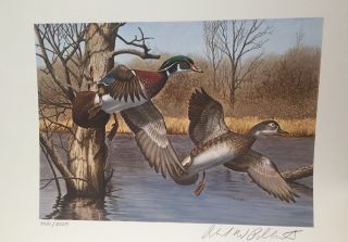 Hampshire 1 1983 State Duck Stamp Print Wood Ducks By R.  Plasschaert