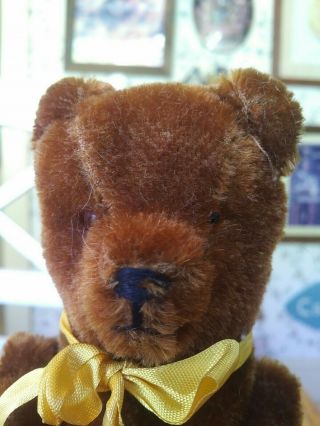 Antique Vintage Brown Mohair Teddy Bear From East Germany 9in Euc
