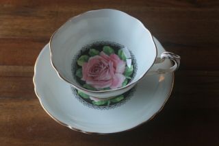 Paragon Large Cabbage Pink Rose Black Center Teacup Tea Cup Saucer Light Blue