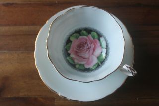 Paragon large Cabbage Pink Rose Black center Teacup Tea cup Saucer light blue 2