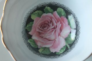 Paragon large Cabbage Pink Rose Black center Teacup Tea cup Saucer light blue 3