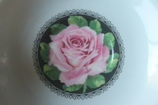 Paragon large Cabbage Pink Rose Black center Teacup Tea cup Saucer light blue 5