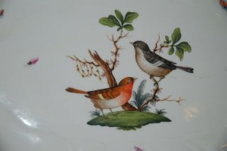 HEREND ROTHSCHILD BIRD Pattern 16 
