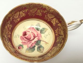 Paragon Floating Cabbage Rose Pink /Red Gilt Double Warrant Teacup and Saucer 5