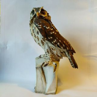 Tay Figurine By Tay Porcelain,  Owl,  Made In Italy,  10.  5 Inches Tall 6in Wide