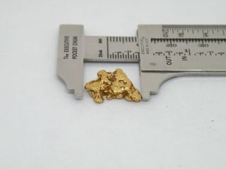 Natural Alaska Yukon Bc Gold Nugget Placer 2.  3dwt,  3.  5 Gram Gold