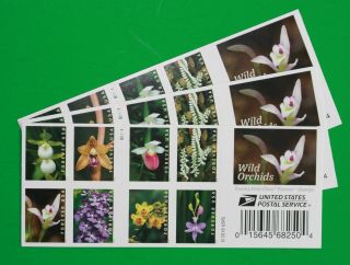 Exquisite Wild Orchids Forever Stamps (3 Booklets,  60 Stamps)