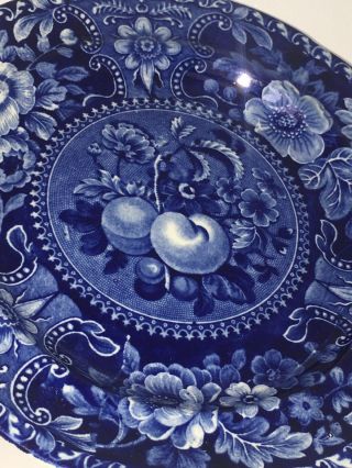 Historical Staffordshire Blue Dinner Plate Fruit Pattern Stubbs Circa 1825 3