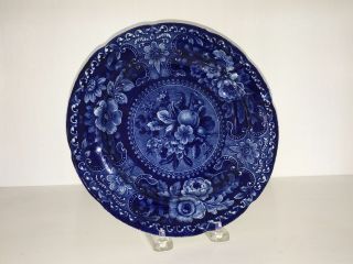 Historical Staffordshire Blue Plate Fruit Pattern By Stubbs Perfect Ca.  1825