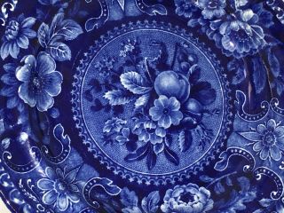 Historical Staffordshire Blue Plate Fruit Pattern By Stubbs Perfect Ca.  1825 2