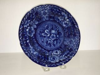 Historical Staffordshire Blue Plate Fruit Pattern By Stubbs Perfect Ca.  1825 3