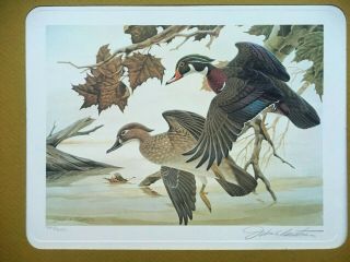 1982 The First Ohio Duck Stamp Signed Print And Stamp By John A Ruthven
