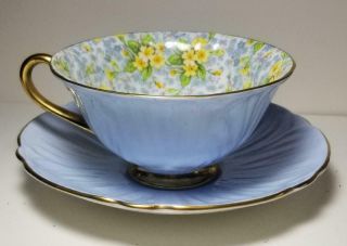 Shelley 13588 Primrose Chintz Oleander Blue Teacup & Saucer Gold Trim