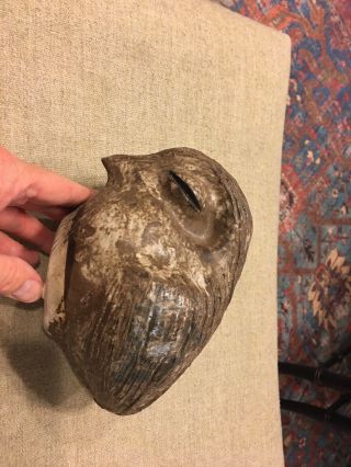 Large Mccarty’s Of Mississippi Studio Pottery Bird Signed.