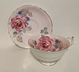 Paragon Pink Cabbage Rose Teacup Saucer Green Leaves Blue Flowers Gold Edge