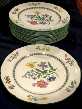 Spode Fine Stone Summer Palace W150 - 4 Set Of 12 Dinner Plates 10 1/4 In Size