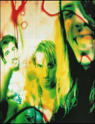 Nirvana Kurt Cobain Dave Grohl Krist Novoselic Pin - Up Photo Print